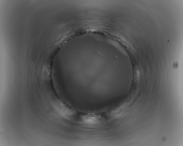 X0000097000661200802081445