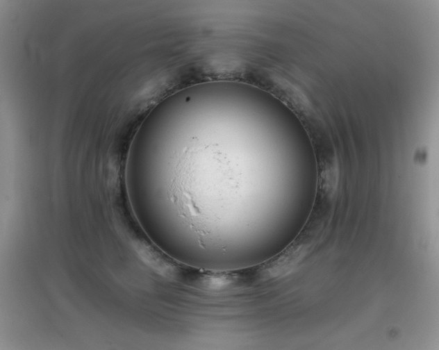 X0000097000662200802081445