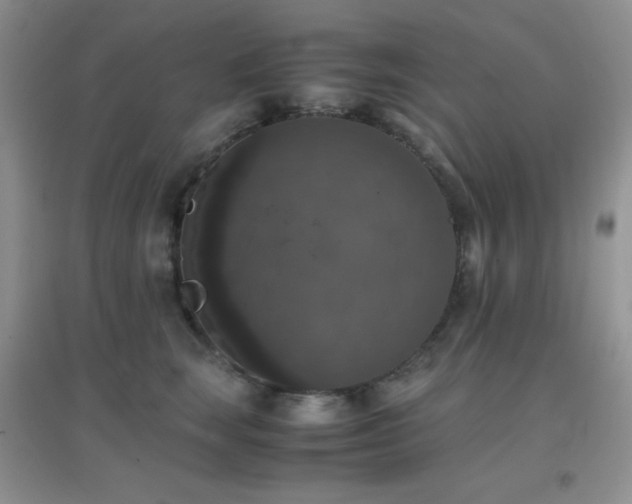 X0000097000663200802081445