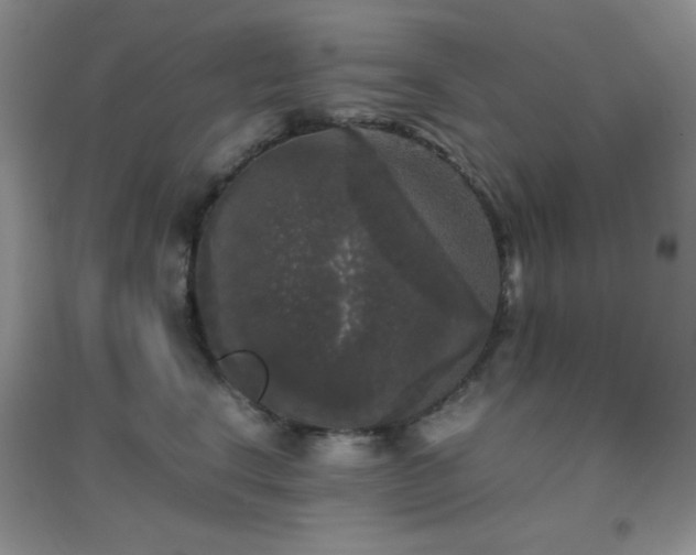 X0000097000664200802081445