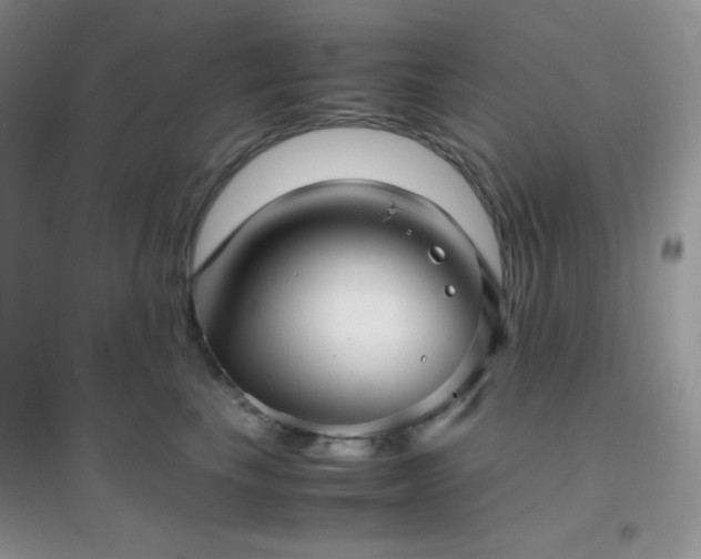 X0000097000665200802081445