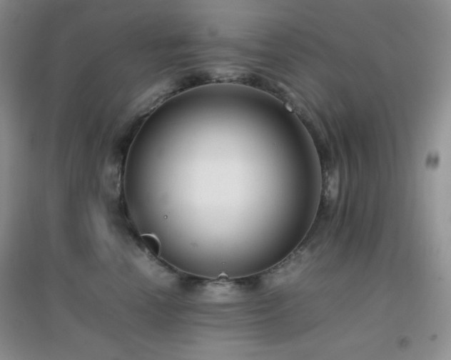 X0000097000666200802081445