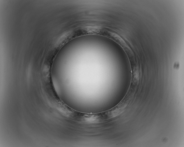 X0000097000667200802081445