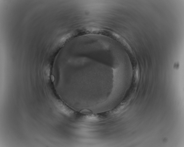 X0000097000668200802081445