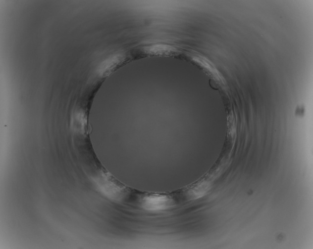 X0000097000669200802081445
