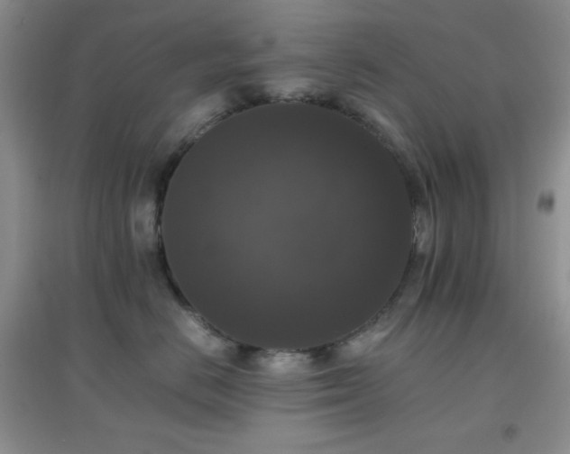 X0000097000670200802081445