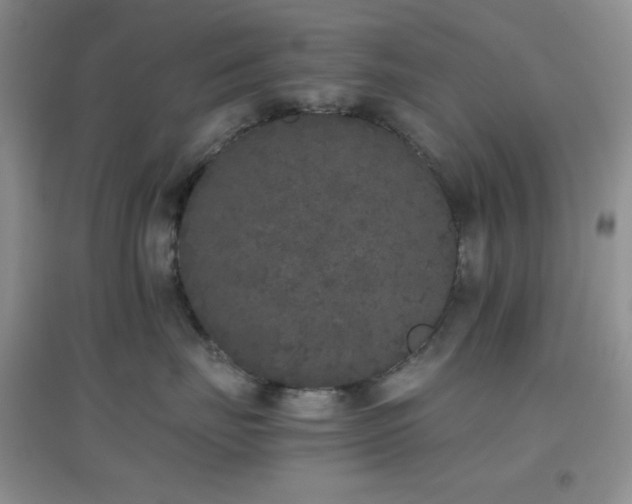 X0000097000671200802081445