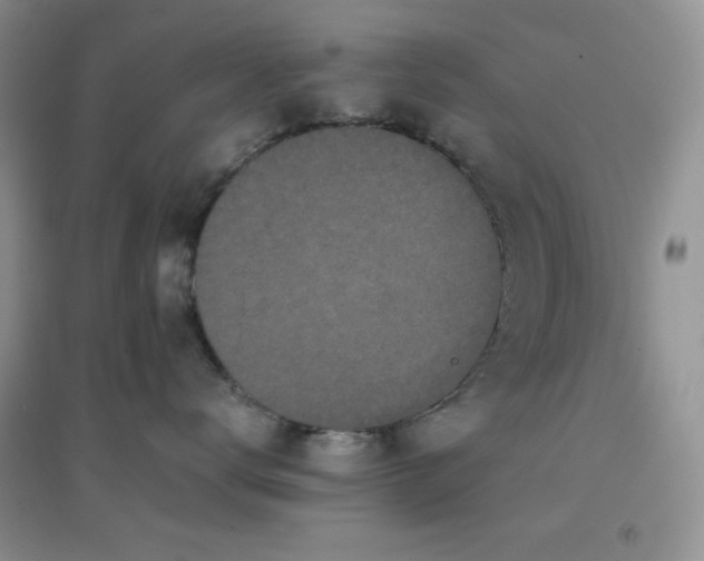 X0000097000672200802081445