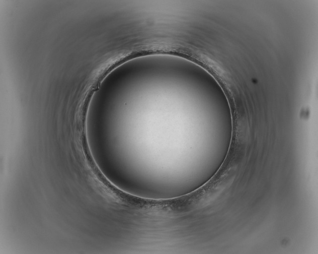 X0000097000673200802081445