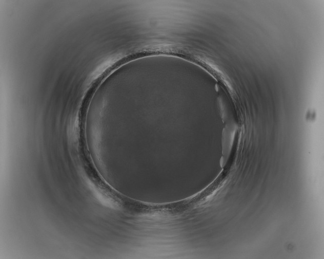 X0000097000674200802081445