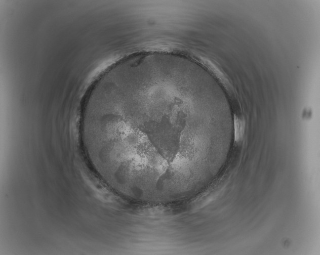 X0000097000675200802081445