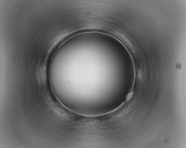 X0000097000676200802081445