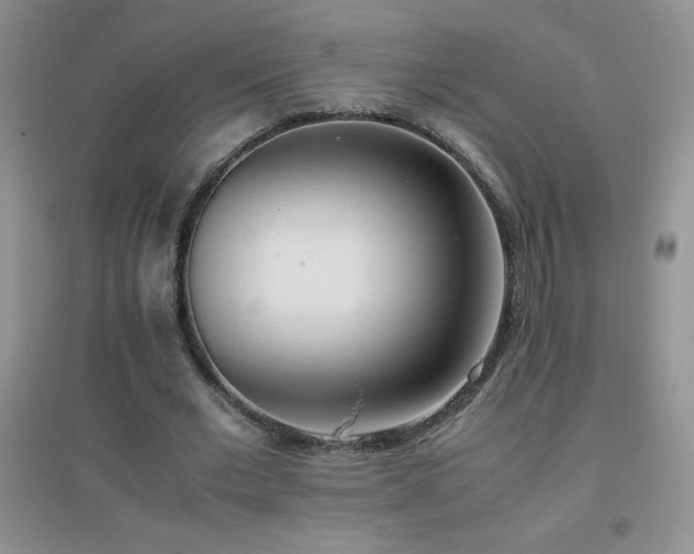 X0000097000677200802081445