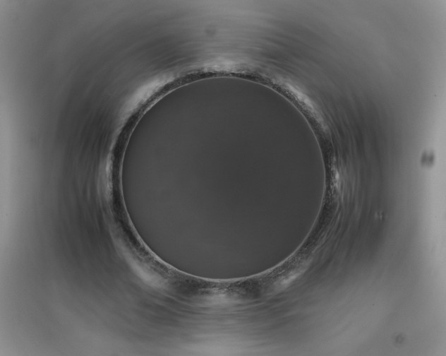 X0000097000678200802081445