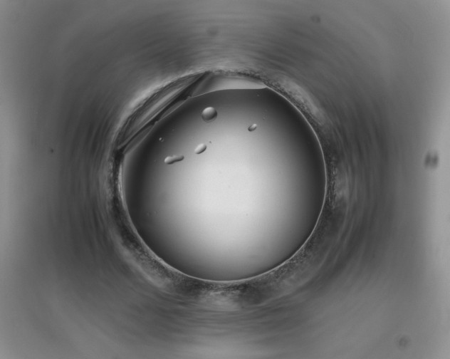 X0000097000680200802081445