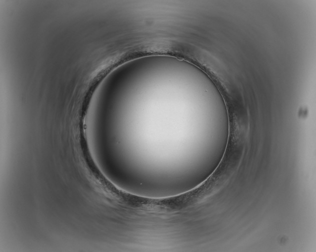 X0000097000681200802081444