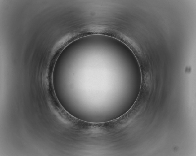 X0000097000682200802081444