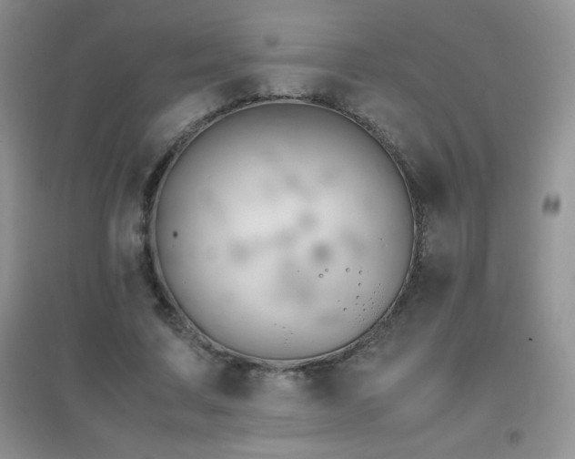 X0000097000683200802081444