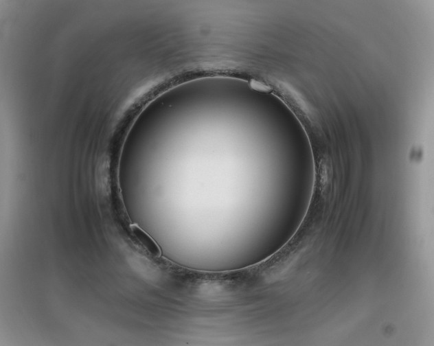 X0000097000684200802081444