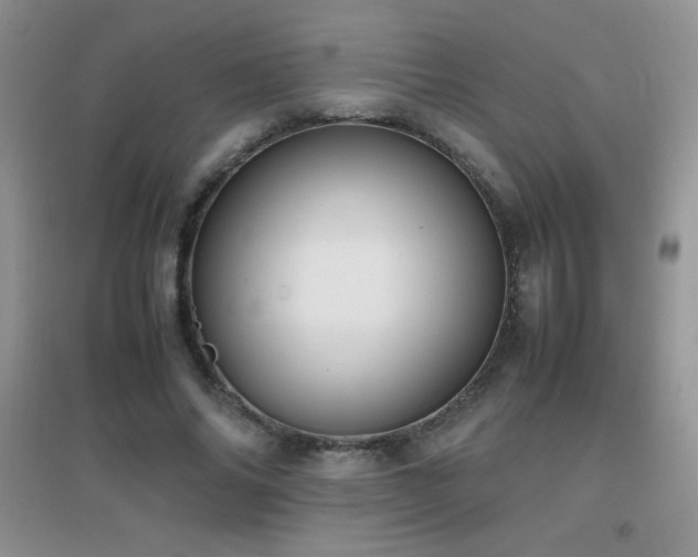 X0000097000686200802081444