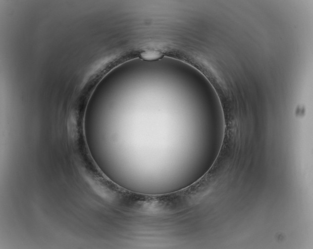 X0000097000688200802081444