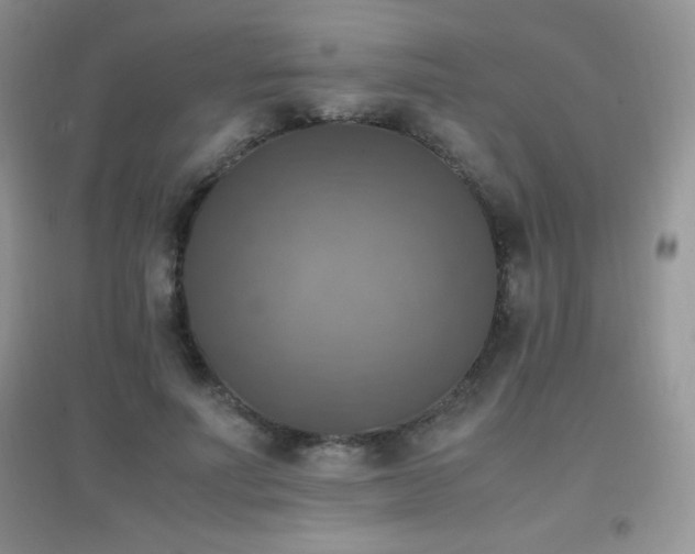 X0000097000691200802081444