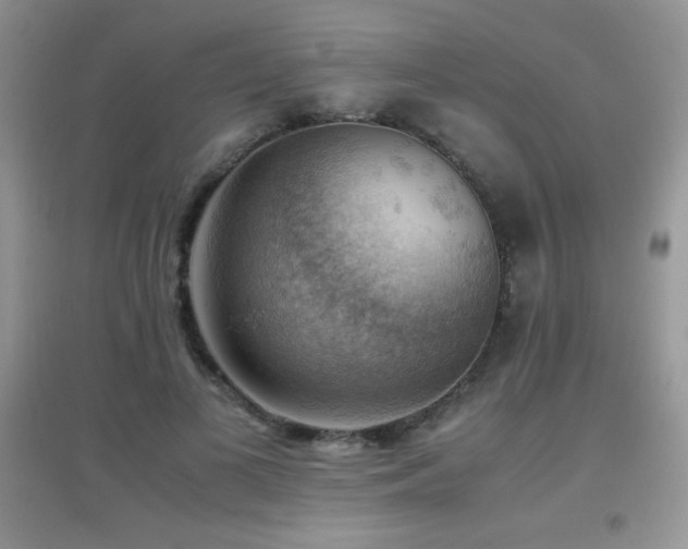 X0000097000693200802081444