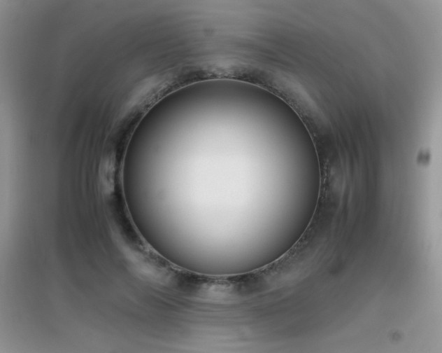 X0000097000694200802081444