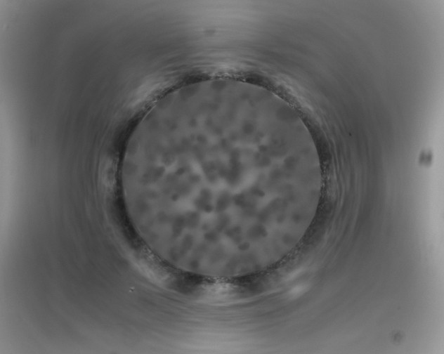 X0000097000695200802081444