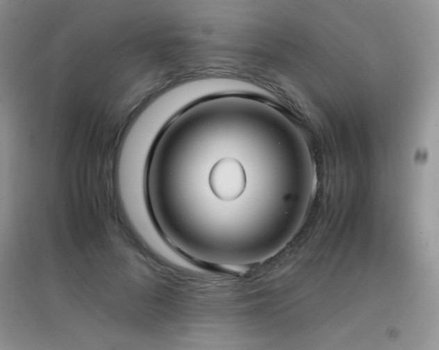 X0000097000696200802081444