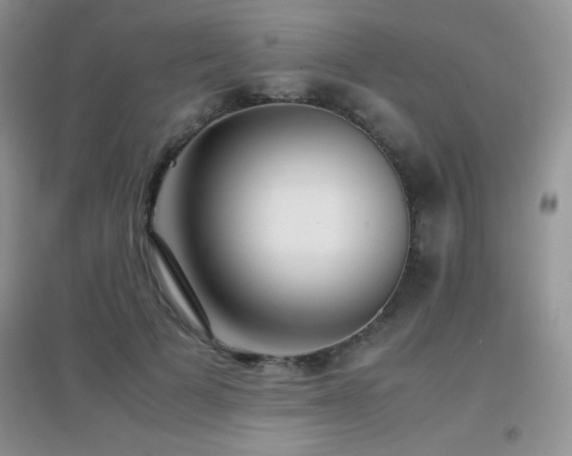 X0000097000697200802081444