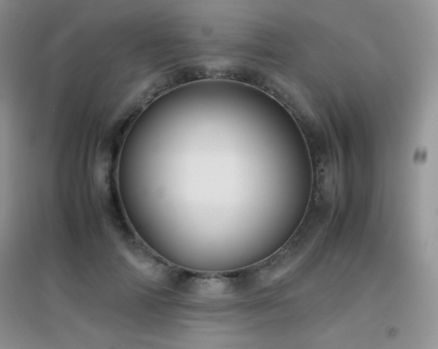 X0000097000698200802081444