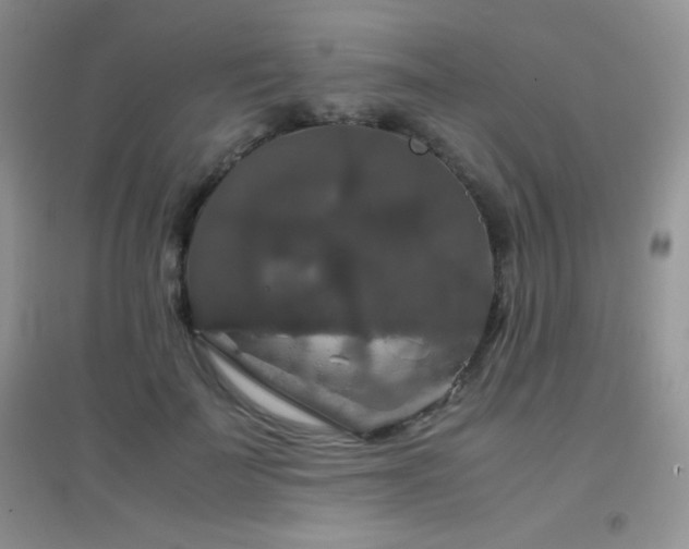 X0000097000699200802081444