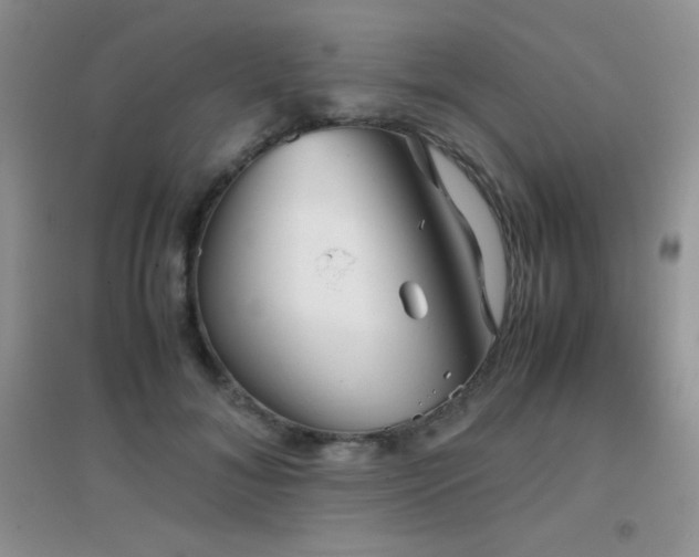 X0000097000700200802081444