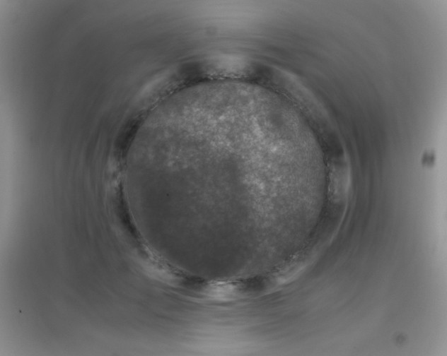 X0000097000701200802081444