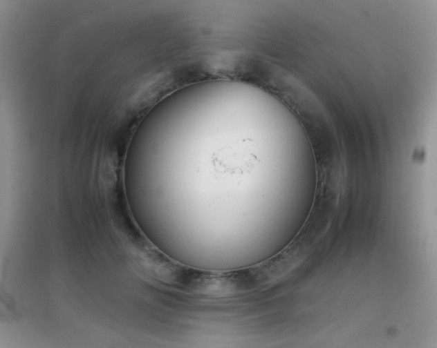 X0000097000702200802081444