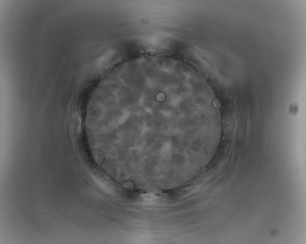 X0000097000703200802081444