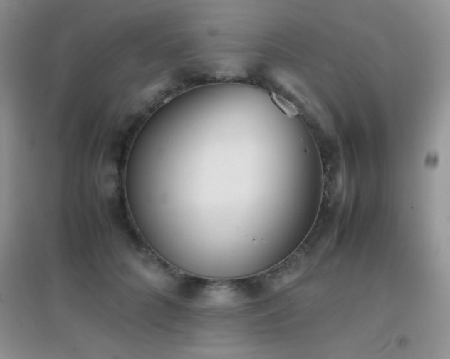 X0000097000704200802081444