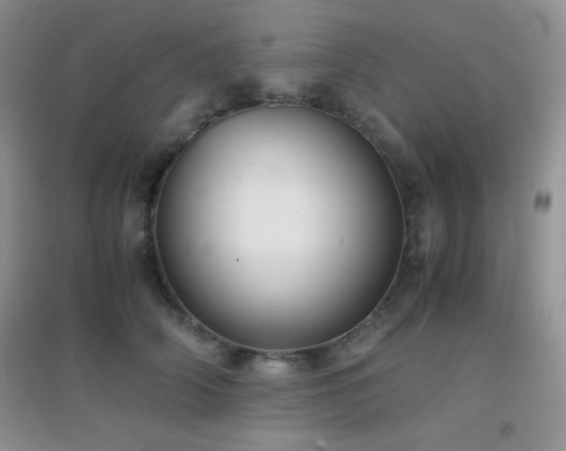 X0000097000706200802081444