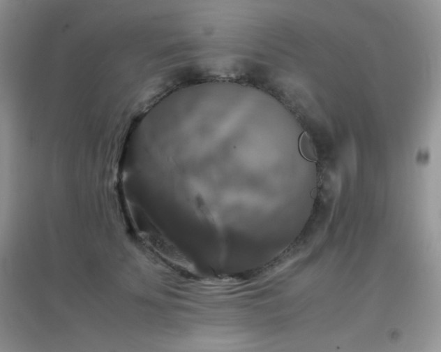 X0000097000707200802081444