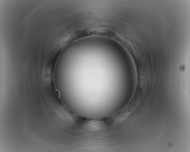 X0000097000708200802081444