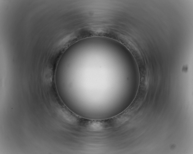 X0000097000710200802081444