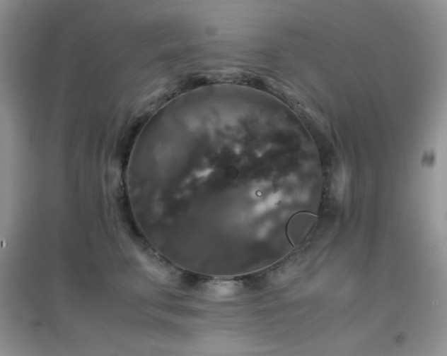 X0000097000711200802081444