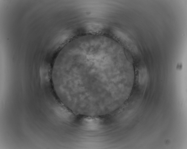 X0000097000712200802081444
