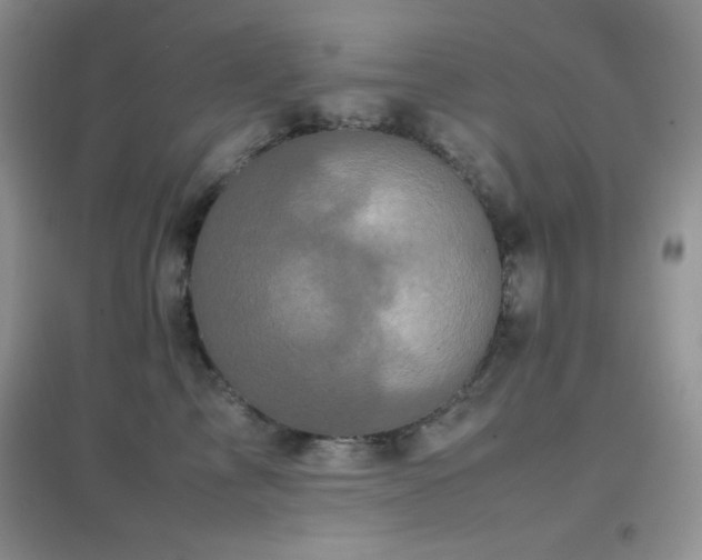 X0000097000713200802081444