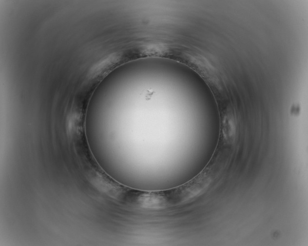 X0000097000714200802081444