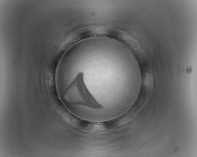 X0000097000715200802081444