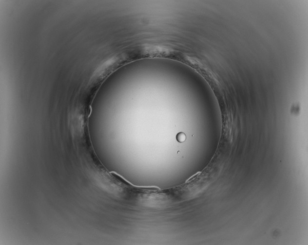 X0000097000716200802081444