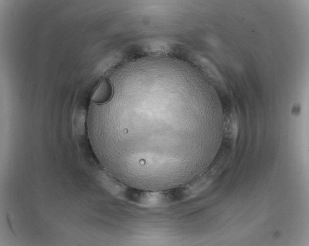 X0000097000717200802081444