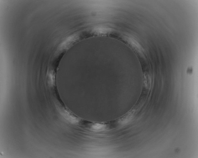 X0000097000718200802081444
